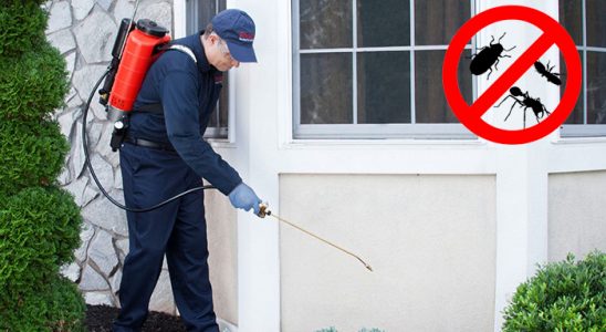Sungurlu Akrep İlaçlama böcek ilaçlama ve haşere kontrolü — ilaclama-tr.com